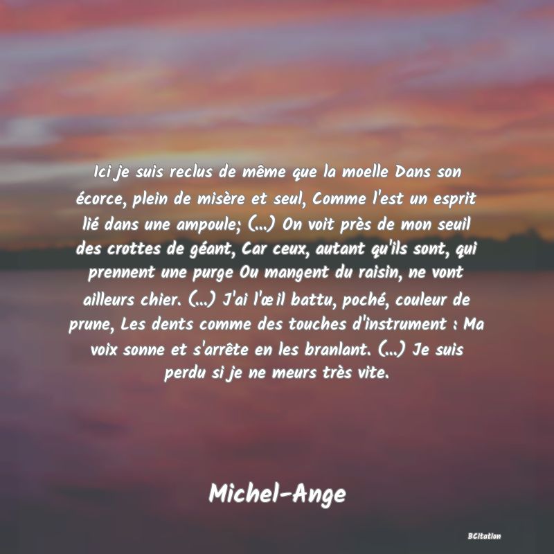 image de citation: Ici je suis reclus de même que la moelle Dans son écorce, plein de misère et seul, Comme l'est un esprit lié dans une ampoule; (...) On voit près de mon seuil des crottes de géant, Car ceux, autant qu'ils sont, qui prennent une purge Ou mangent du raisin, ne vont ailleurs chier. (...) J'ai l'œil battu, poché, couleur de prune, Les dents comme des touches d'instrument : Ma voix sonne et s'arrête en les branlant. (...) Je suis perdu si je ne meurs très vite.