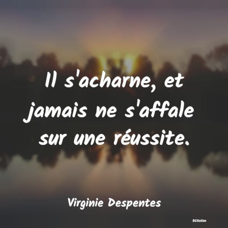 Belle Citation - Il s'acharne, et jamais ne s'affale sur une réussite. - Virginie Despentes