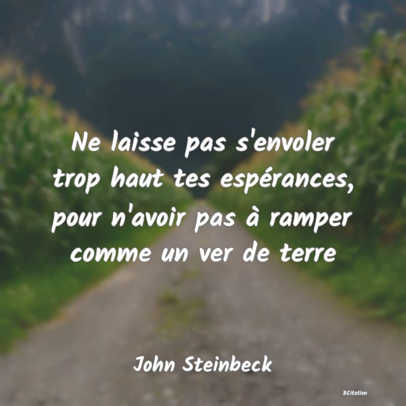 image de citation: Ne laisse pas s'envoler trop haut tes espérances, pour n'avoir pas à ramper comme un ver de terre