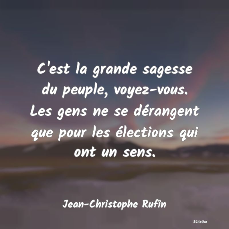 image de citation: C'est la grande sagesse du peuple, voyez-vous. Les gens ne se dérangent que pour les élections qui ont un sens.