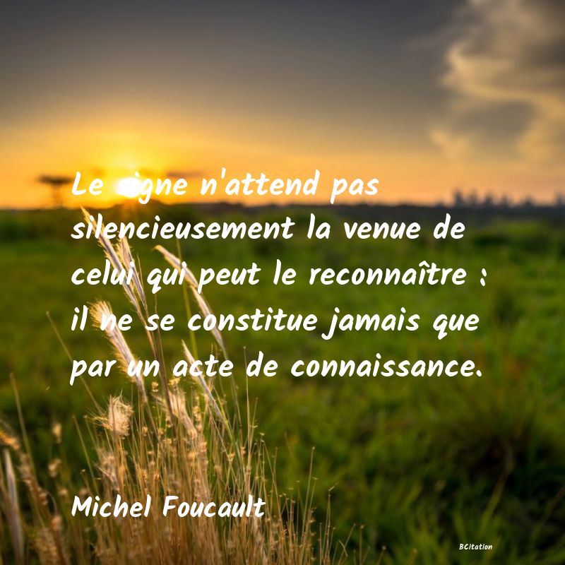 image de citation: Le signe n'attend pas silencieusement la venue de celui qui peut le reconnaître : il ne se constitue jamais que par un acte de connaissance.