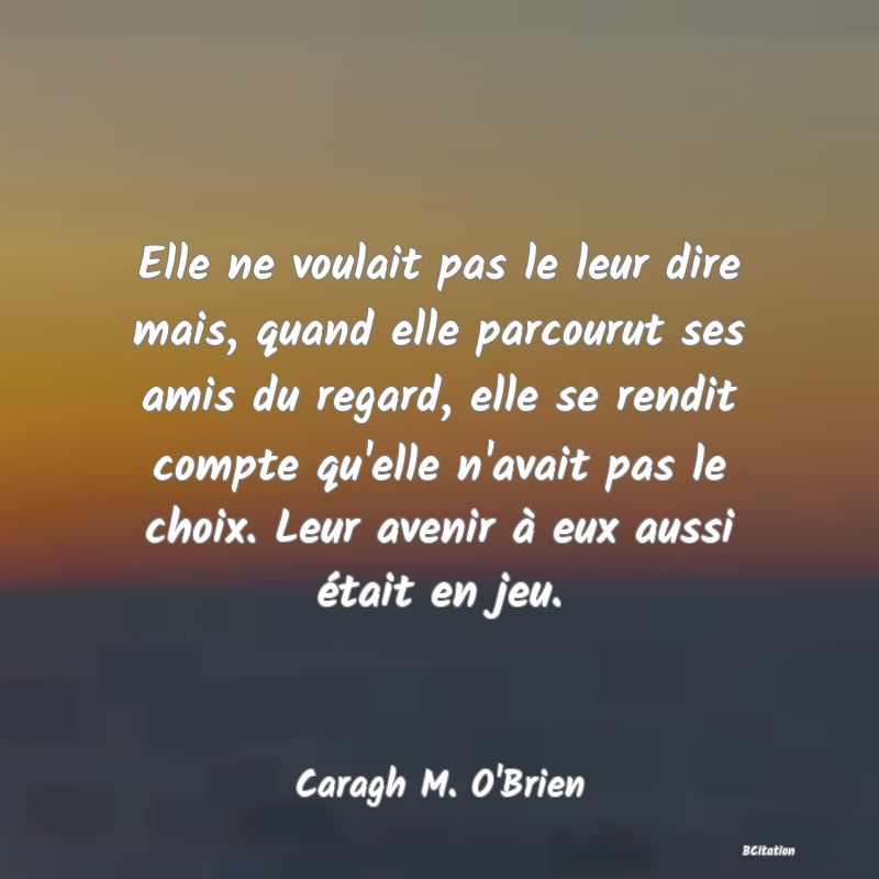 image de citation: Elle ne voulait pas le leur dire mais, quand elle parcourut ses amis du regard, elle se rendit compte qu'elle n'avait pas le choix. Leur avenir à eux aussi était en jeu.