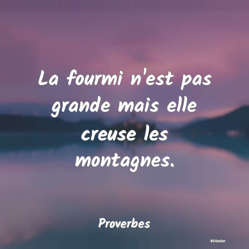 image de citation: La fourmi n'est pas grande mais elle creuse les montagnes.