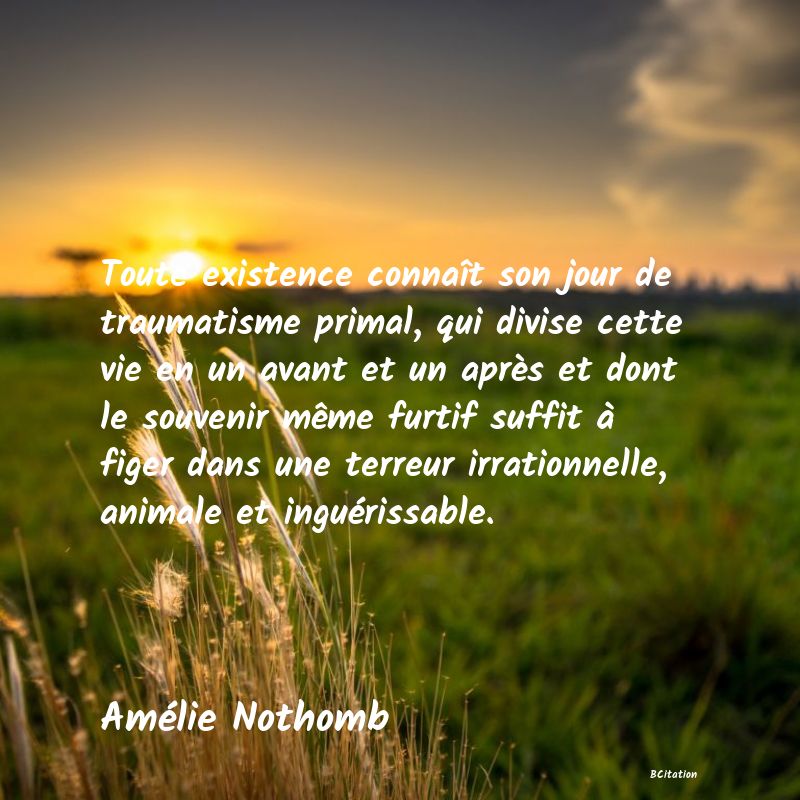 Belle Citation - Toute existence connaît son jour de traumatisme primal, qui divise cette vie en un avant et un après et dont le souvenir même furtif suffit à figer dans une terreur irrationnelle, animale et inguérissable. - Amélie Nothomb