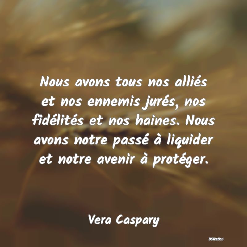 image de citation: Nous avons tous nos alliés et nos ennemis jurés, nos fidélités et nos haines. Nous avons notre passé à liquider et notre avenir à protéger.