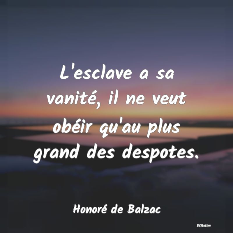 image de citation: L'esclave a sa vanité, il ne veut obéir qu'au plus grand des despotes.