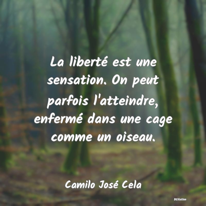 image de citation: La liberté est une sensation. On peut parfois l'atteindre, enfermé dans une cage comme un oiseau.