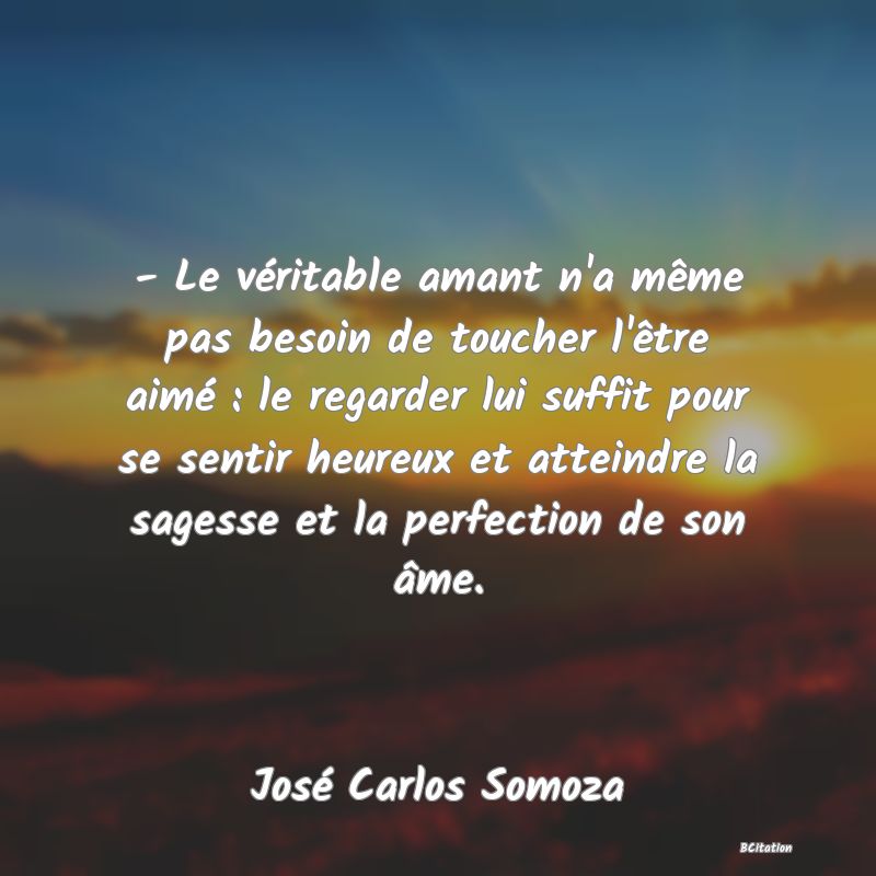 image de citation: - Le véritable amant n'a même pas besoin de toucher l'être aimé : le regarder lui suffit pour se sentir heureux et atteindre la sagesse et la perfection de son âme.