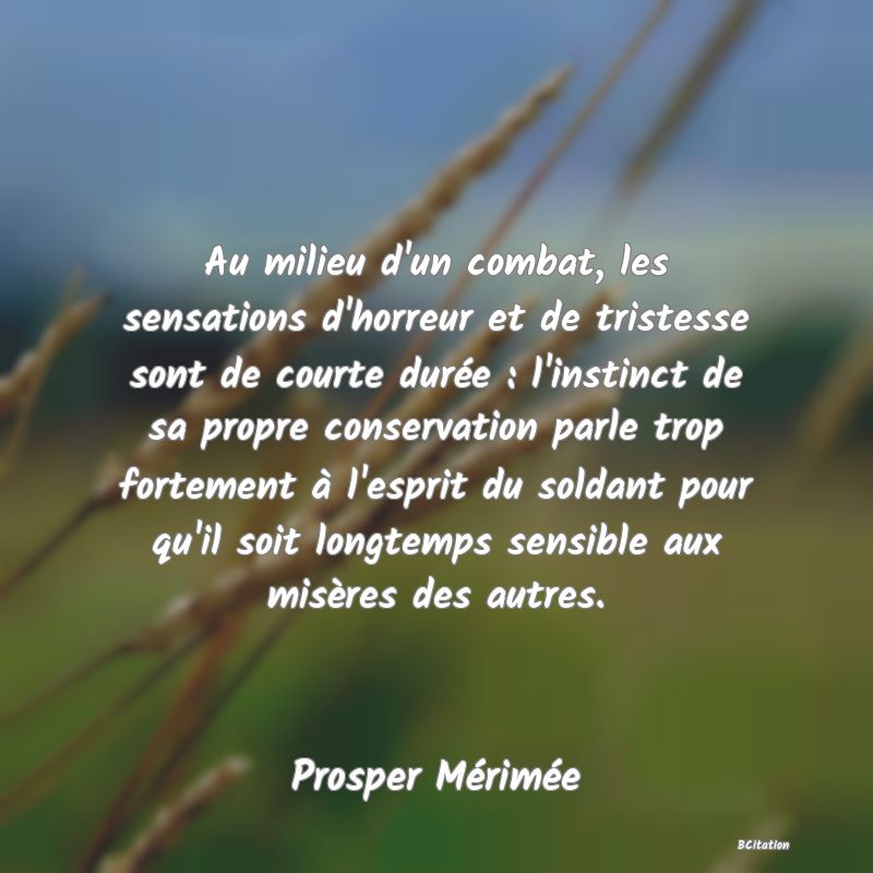 Belle Citation - Au milieu d'un combat, les sensations d'horreur et de tristesse sont de courte durée : l'instinct de sa propre conservation parle trop fortement à l'esprit du soldant pour qu'il soit longtemps sensible aux misères des autres. - Prosper Mérimée