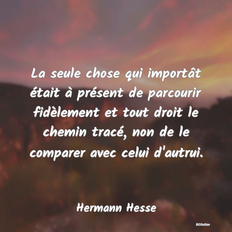 image de citation: La seule chose qui importât était à présent de parcourir fidèlement et tout droit le chemin tracé, non de le comparer avec celui d'autrui.