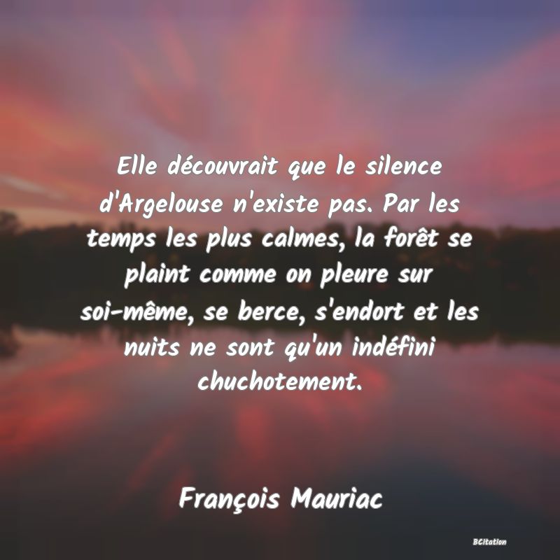 image de citation: Elle découvrait que le silence d'Argelouse n'existe pas. Par les temps les plus calmes, la forêt se plaint comme on pleure sur soi-même, se berce, s'endort et les nuits ne sont qu'un indéfini chuchotement.