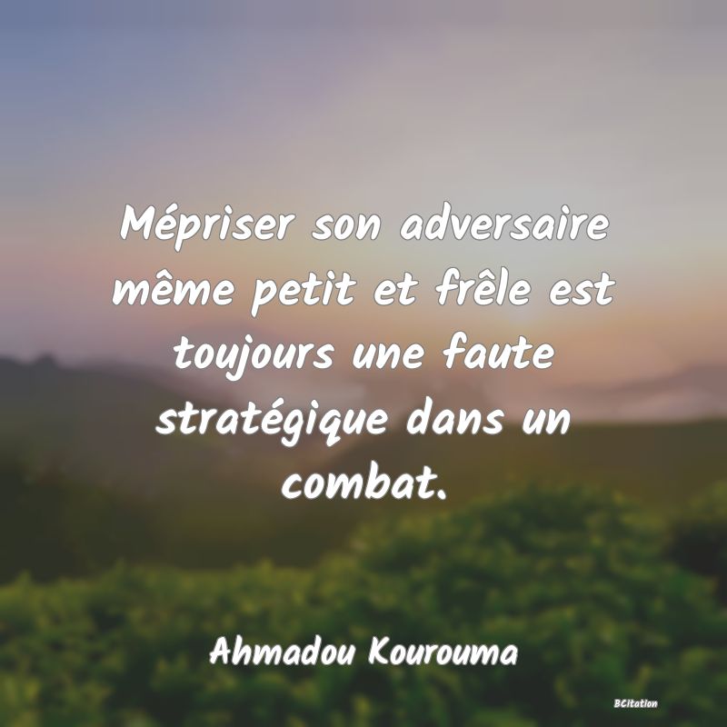 image de citation: Mépriser son adversaire même petit et frêle est toujours une faute stratégique dans un combat.