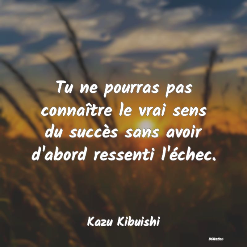 image de citation: Tu ne pourras pas connaître le vrai sens du succès sans avoir d'abord ressenti l'échec.