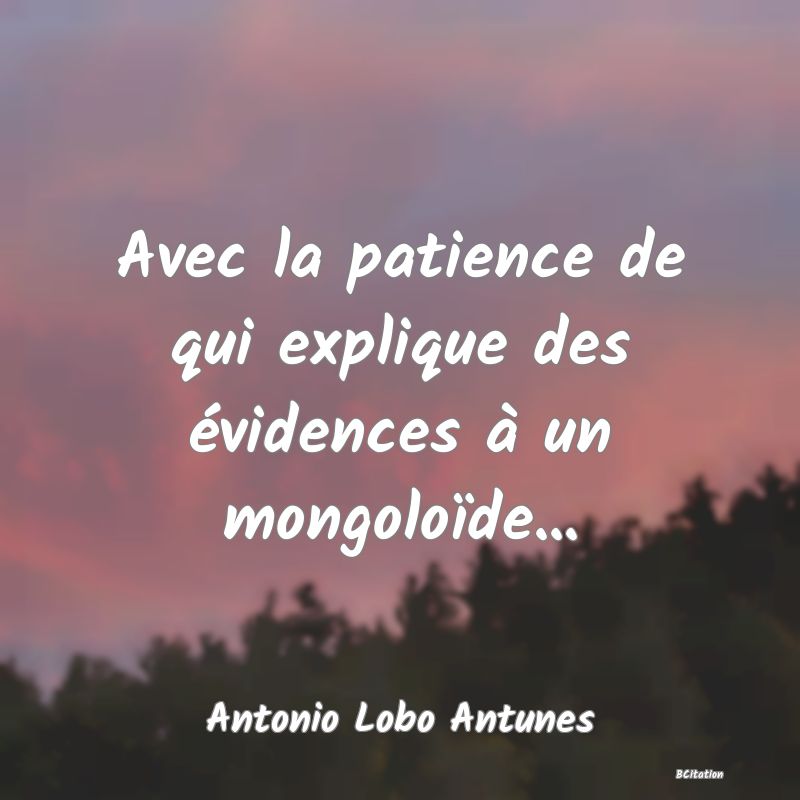 image de citation: Avec la patience de qui explique des évidences à un mongoloïde...