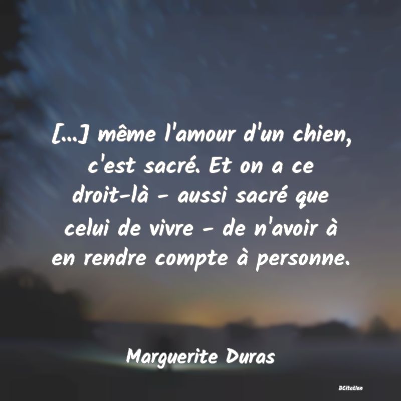 image de citation: [...] même l'amour d'un chien, c'est sacré. Et on a ce droit-là - aussi sacré que celui de vivre - de n'avoir à en rendre compte à personne.