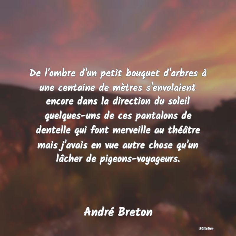Belle Citation - De l'ombre d'un petit bouquet d'arbres à une centaine de mètres s'envolaient encore dans la direction du soleil quelques-uns de ces pantalons de dentelle qui font merveille au théâtre mais j'avais en vue autre chose qu'un lâcher de pigeons-voyageurs. - André Breton