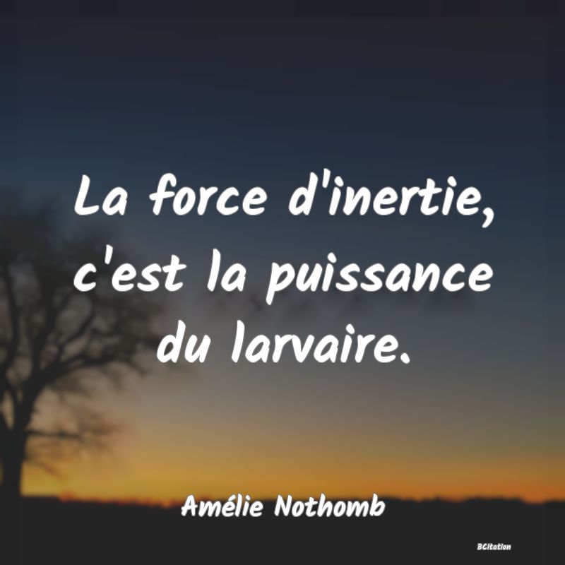image de citation: La force d'inertie, c'est la puissance du larvaire.