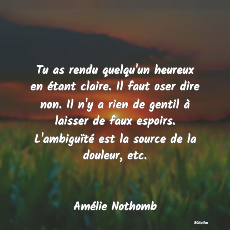 image de citation: Tu as rendu quelqu'un heureux en étant claire. Il faut oser dire non. Il n'y a rien de gentil à laisser de faux espoirs. L'ambiguïté est la source de la douleur, etc.