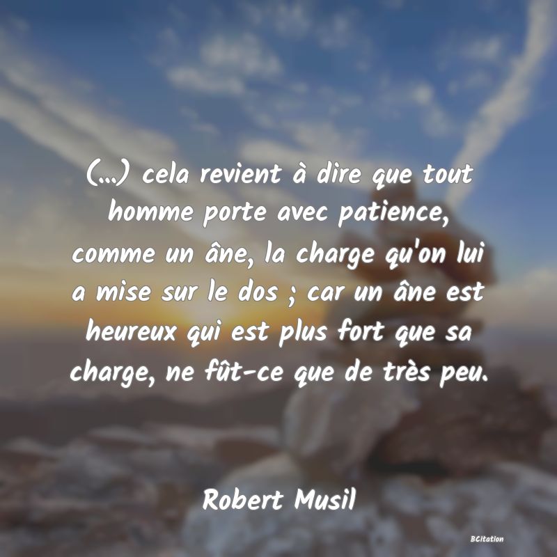 image de citation: (...) cela revient à dire que tout homme porte avec patience, comme un âne, la charge qu'on lui a mise sur le dos ; car un âne est heureux qui est plus fort que sa charge, ne fût-ce que de très peu.