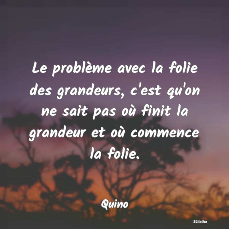 image de citation: Le problème avec la folie des grandeurs, c'est qu'on ne sait pas où finit la grandeur et où commence la folie.