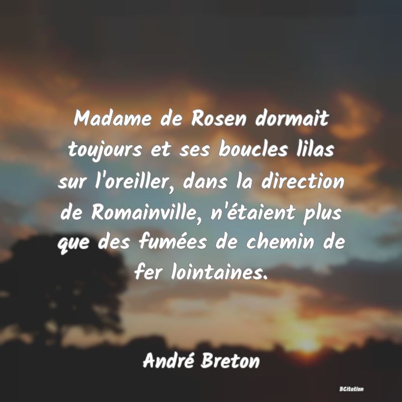 image de citation: Madame de Rosen dormait toujours et ses boucles lilas sur l'oreiller, dans la direction de Romainville, n'étaient plus que des fumées de chemin de fer lointaines.