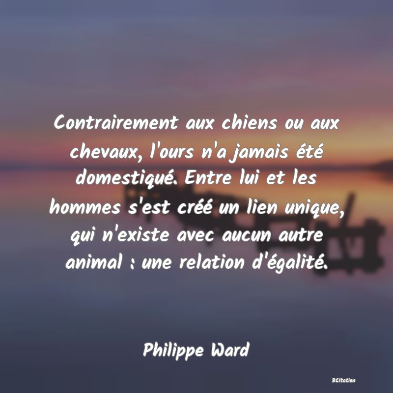 image de citation: Contrairement aux chiens ou aux chevaux, l'ours n'a jamais été domestiqué. Entre lui et les hommes s'est créé un lien unique, qui n'existe avec aucun autre animal : une relation d'égalité.