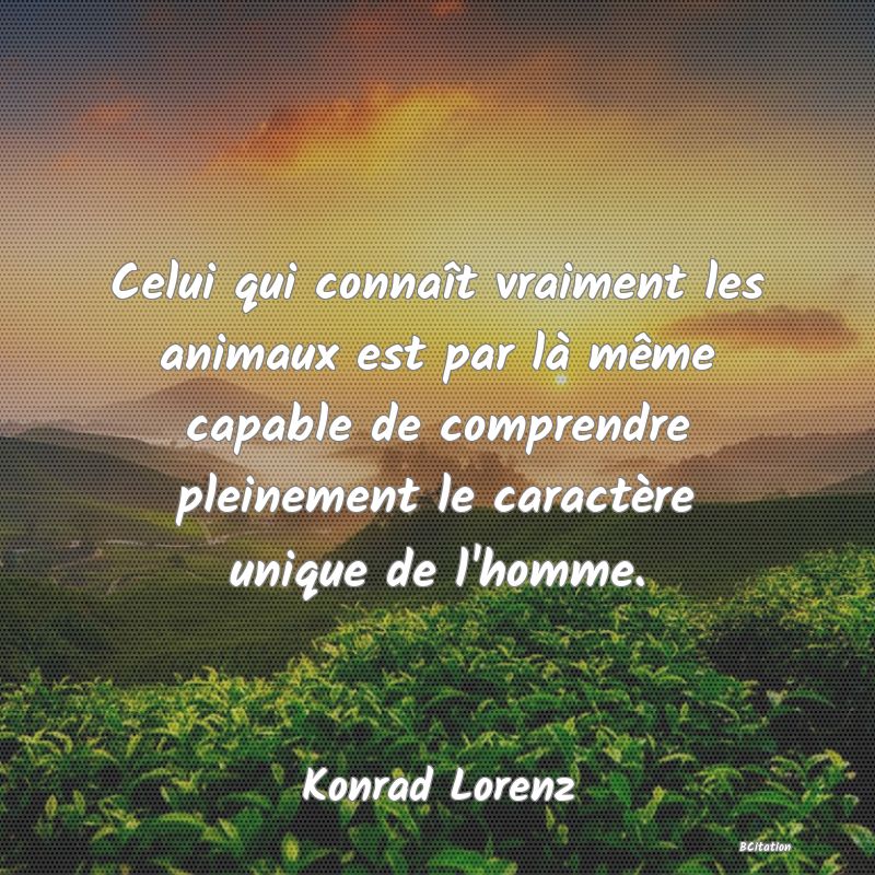 image de citation: Celui qui connaît vraiment les animaux est par là même capable de comprendre pleinement le caractère unique de l'homme.