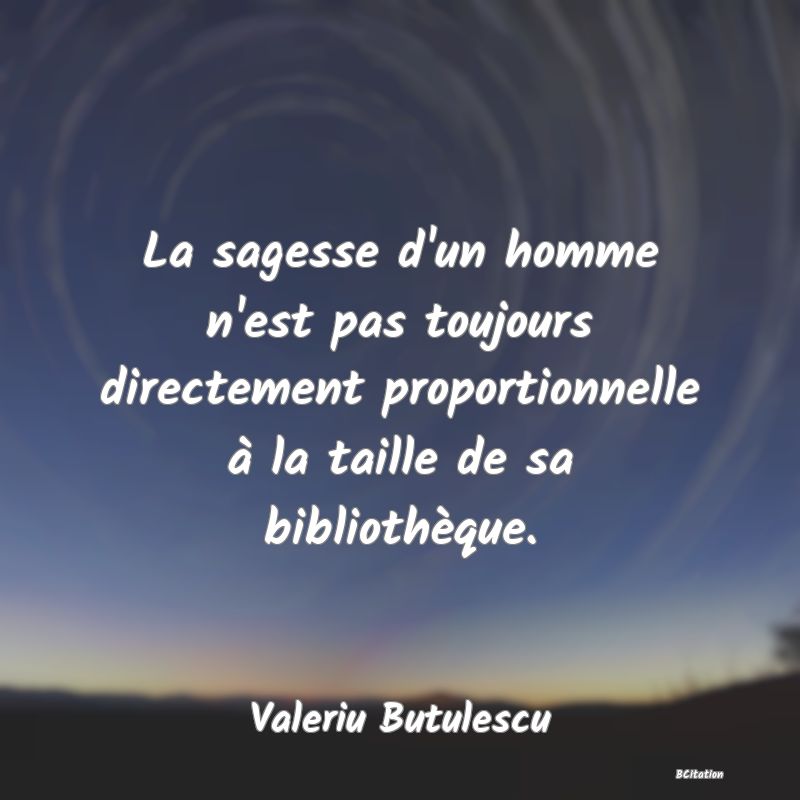 image de citation: La sagesse d'un homme n'est pas toujours directement proportionnelle à la taille de sa bibliothèque.