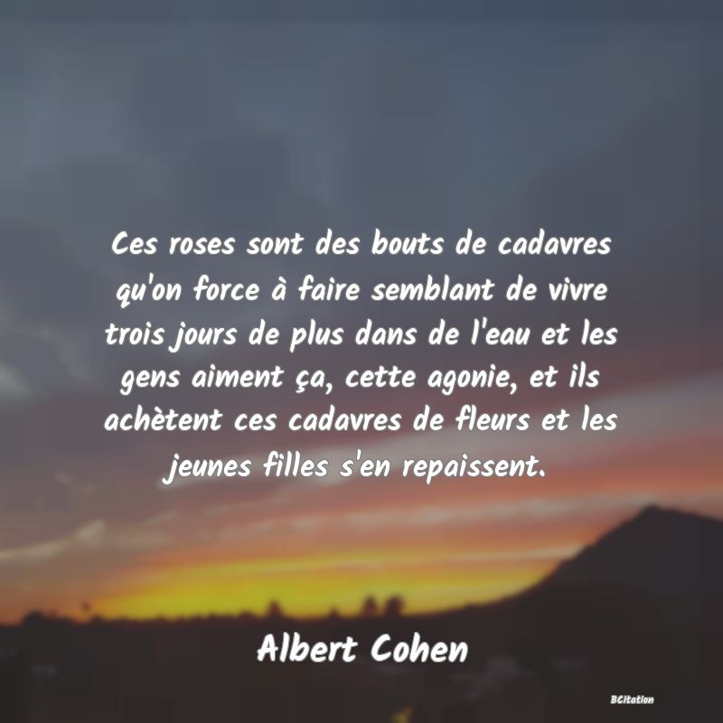 image de citation: Ces roses sont des bouts de cadavres qu'on force à faire semblant de vivre trois jours de plus dans de l'eau et les gens aiment ça, cette agonie, et ils achètent ces cadavres de fleurs et les jeunes filles s'en repaissent.