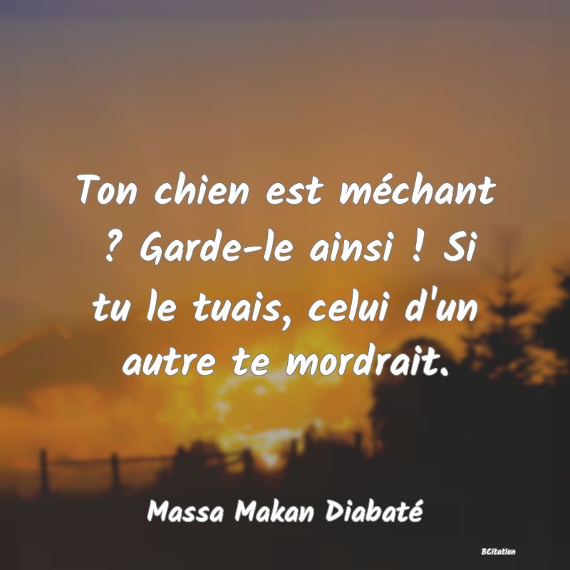 image de citation: Ton chien est méchant ? Garde-le ainsi ! Si tu le tuais, celui d'un autre te mordrait.