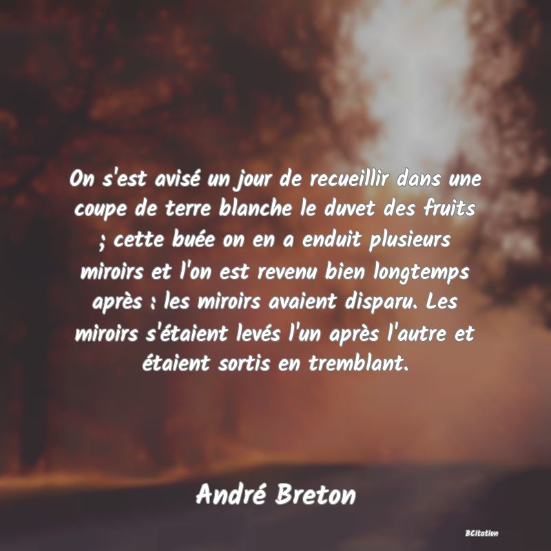 Belle Citation - On s'est avisé un jour de recueillir dans une coupe de terre blanche le duvet des fruits ; cette buée on en a enduit plusieurs miroirs et l'on est revenu bien longtemps après : les miroirs avaient disparu. Les miroirs s'étaient levés l'un après l'autre et étaient sortis en tremblant. - André Breton