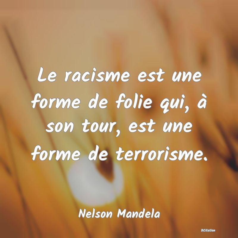 image de citation: Le racisme est une forme de folie qui, à son tour, est une forme de terrorisme.