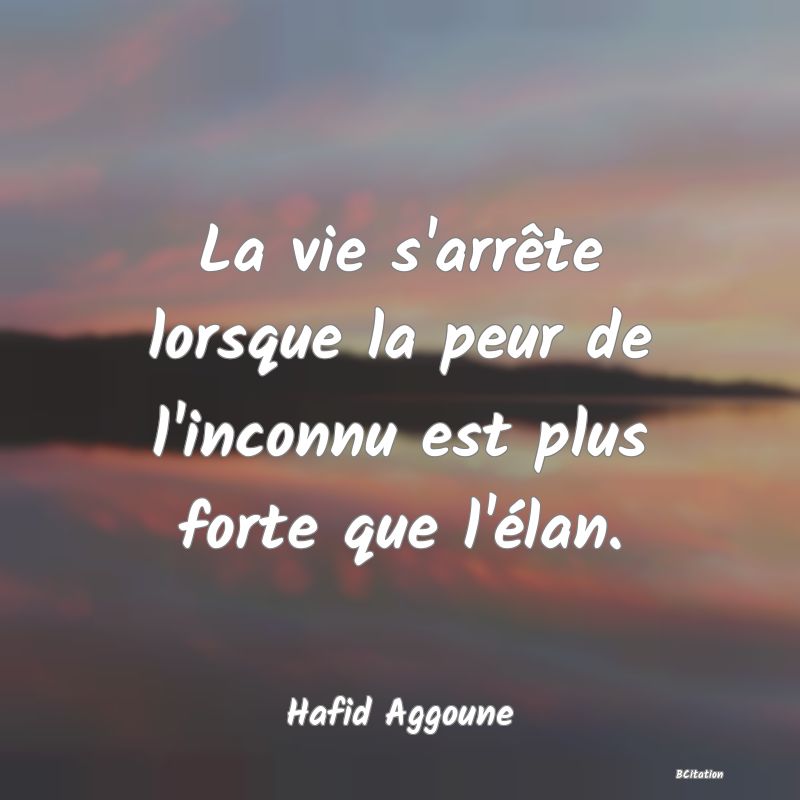 Belle Citation - La vie s'arrête lorsque la peur de l'inconnu est plus forte que l'élan. - Hafid Aggoune