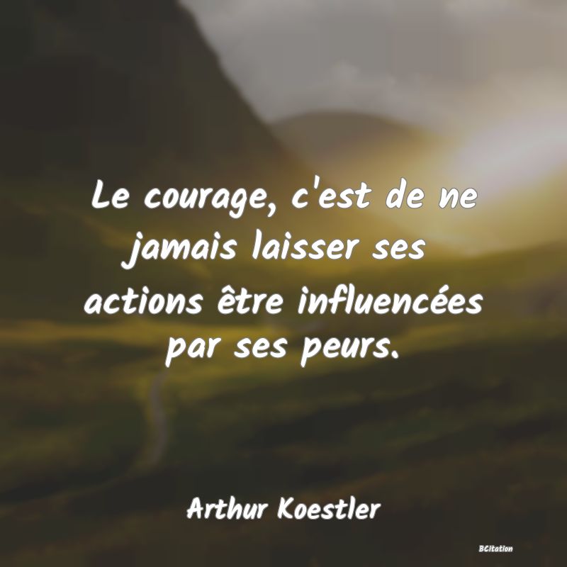 image de citation: Le courage, c'est de ne jamais laisser ses actions être influencées par ses peurs.