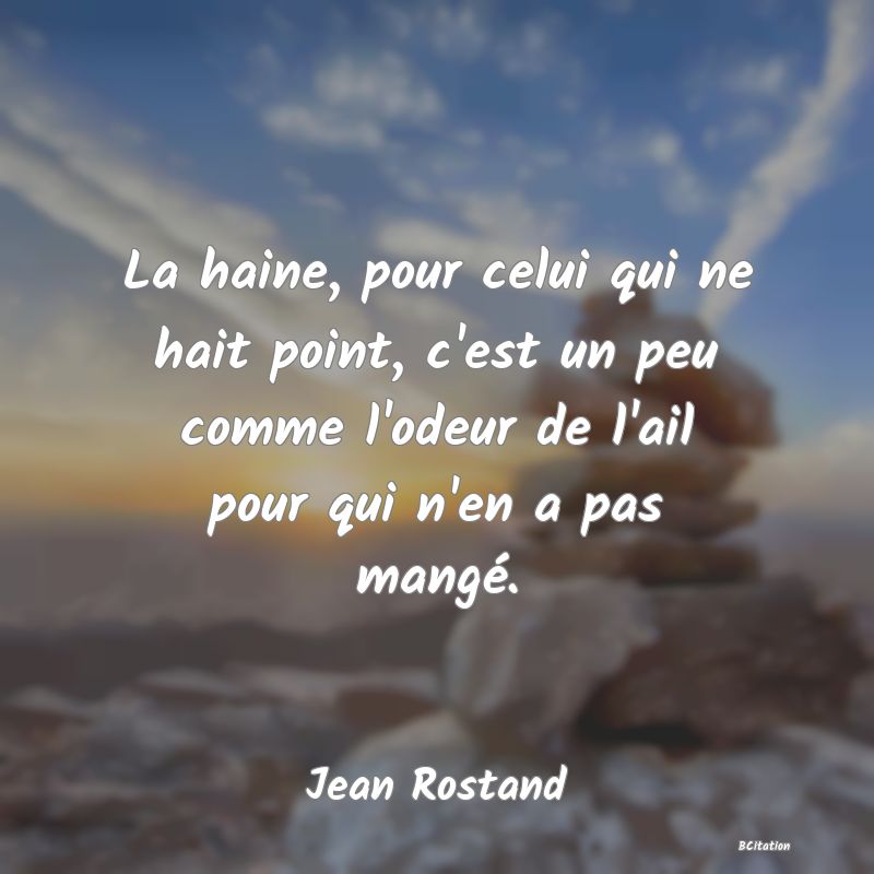 image de citation: La haine, pour celui qui ne hait point, c'est un peu comme l'odeur de l'ail pour qui n'en a pas mangé.