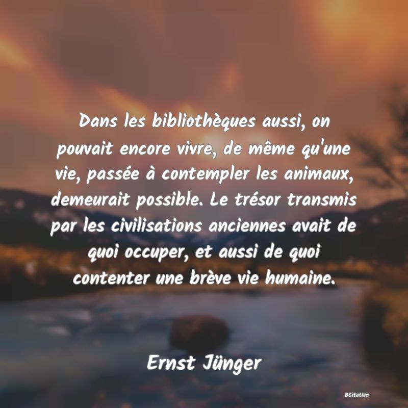 image de citation: Dans les bibliothèques aussi, on pouvait encore vivre, de même qu'une vie, passée à contempler les animaux, demeurait possible. Le trésor transmis par les civilisations anciennes avait de quoi occuper, et aussi de quoi contenter une brève vie humaine.