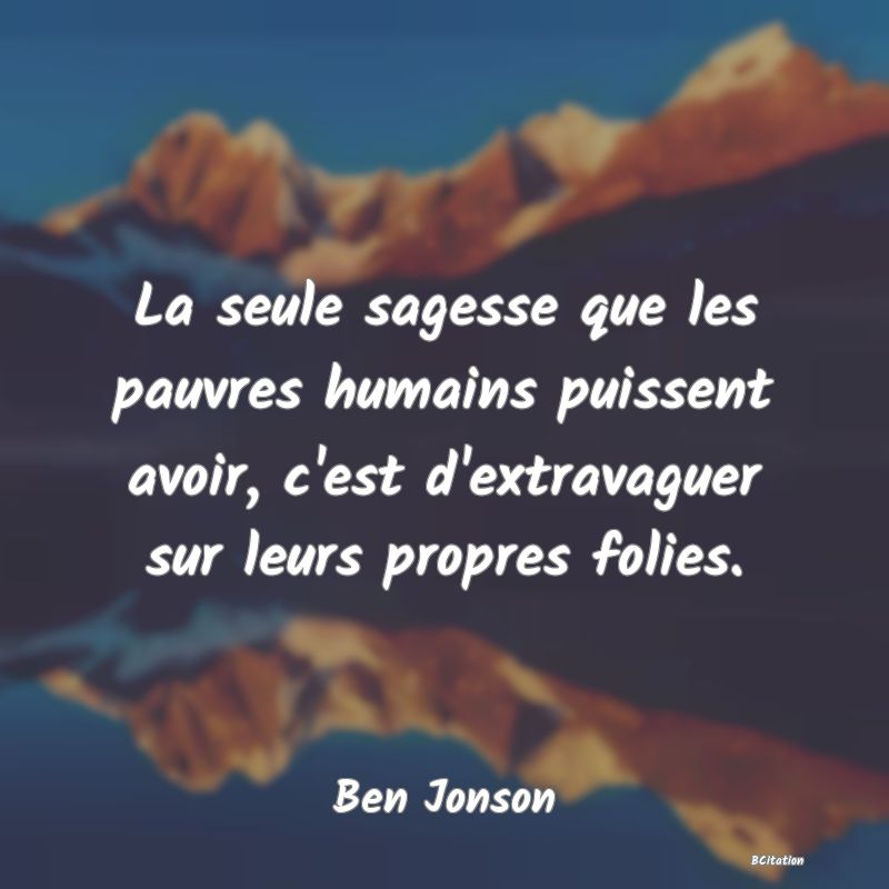 image de citation: La seule sagesse que les pauvres humains puissent avoir, c'est d'extravaguer sur leurs propres folies.