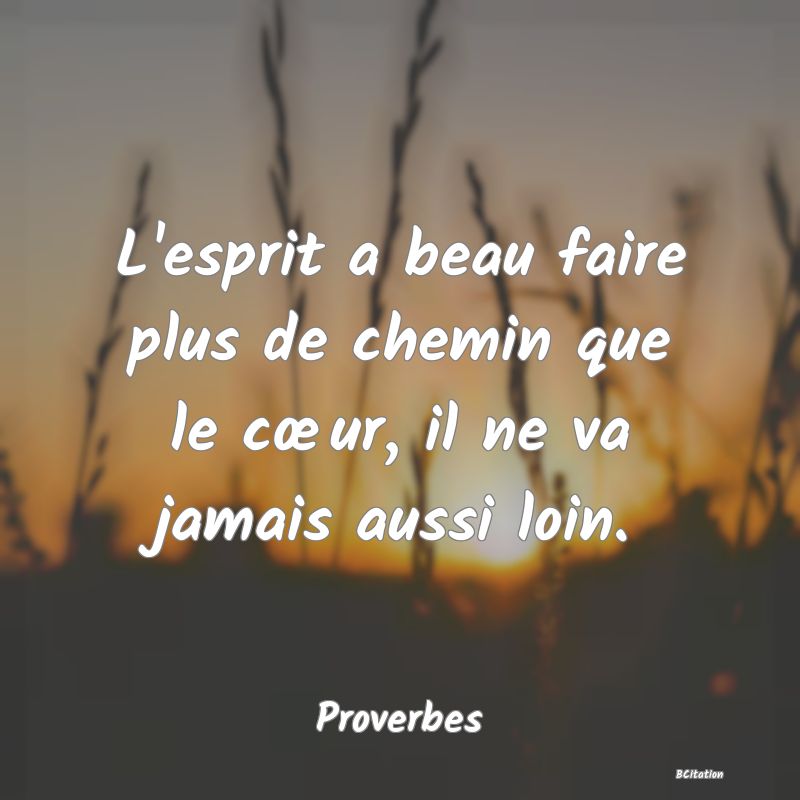 Belle Citation - L'esprit a beau faire plus de chemin que le cœur, il ne va jamais aussi loin. - Proverbes
