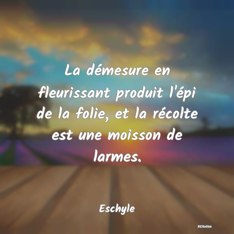 Belle Citation - La démesure en fleurissant produit l'épi de la folie, et la récolte est une moisson de larmes. - Eschyle