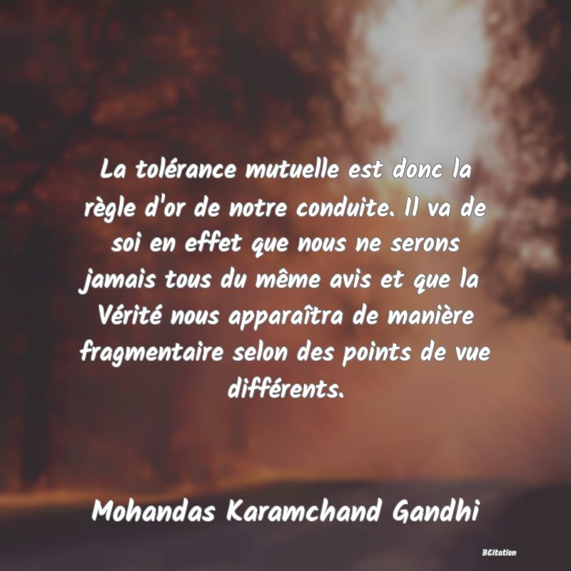 image de citation: La tolérance mutuelle est donc la règle d'or de notre conduite. Il va de soi en effet que nous ne serons jamais tous du même avis et que la Vérité nous apparaîtra de manière fragmentaire selon des points de vue différents.