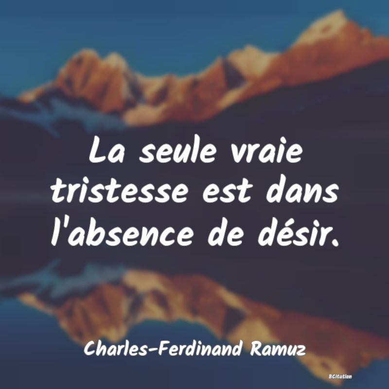 image de citation: La seule vraie tristesse est dans l'absence de désir.