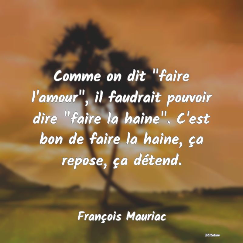 image de citation: Comme on dit  faire l'amour , il faudrait pouvoir dire  faire la haine . C'est bon de faire la haine, ça repose, ça détend.