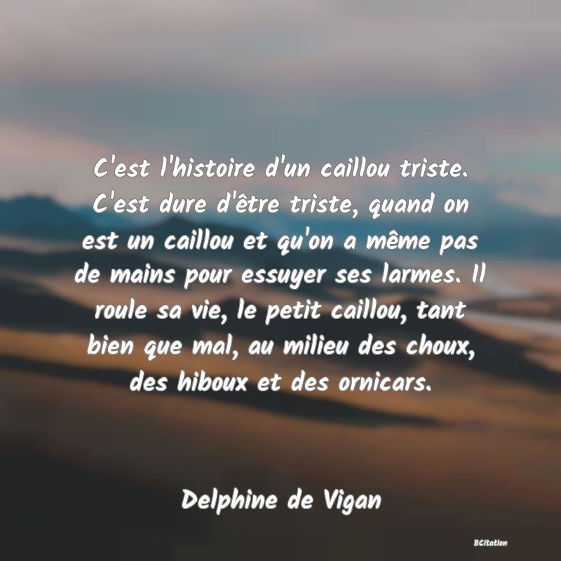image de citation: C'est l'histoire d'un caillou triste. C'est dure d'être triste, quand on est un caillou et qu'on a même pas de mains pour essuyer ses larmes. Il roule sa vie, le petit caillou, tant bien que mal, au milieu des choux, des hiboux et des ornicars.