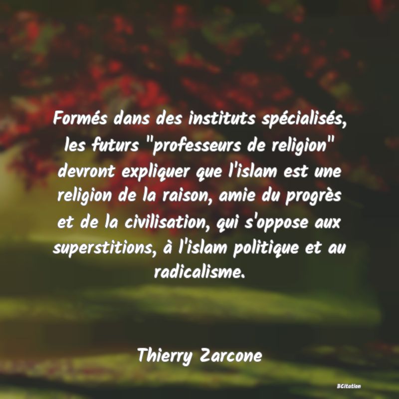 image de citation: Formés dans des instituts spécialisés, les futurs  professeurs de religion  devront expliquer que l'islam est une religion de la raison, amie du progrès et de la civilisation, qui s'oppose aux superstitions, à l'islam politique et au radicalisme.