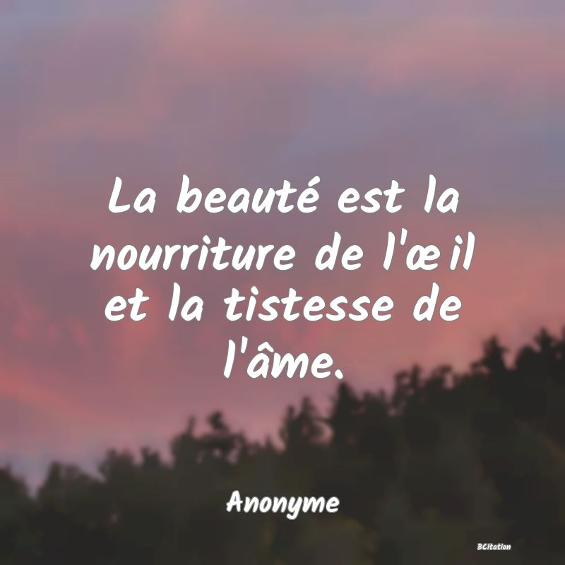 image de citation: La beauté est la nourriture de l'œil et la tistesse de l'âme.