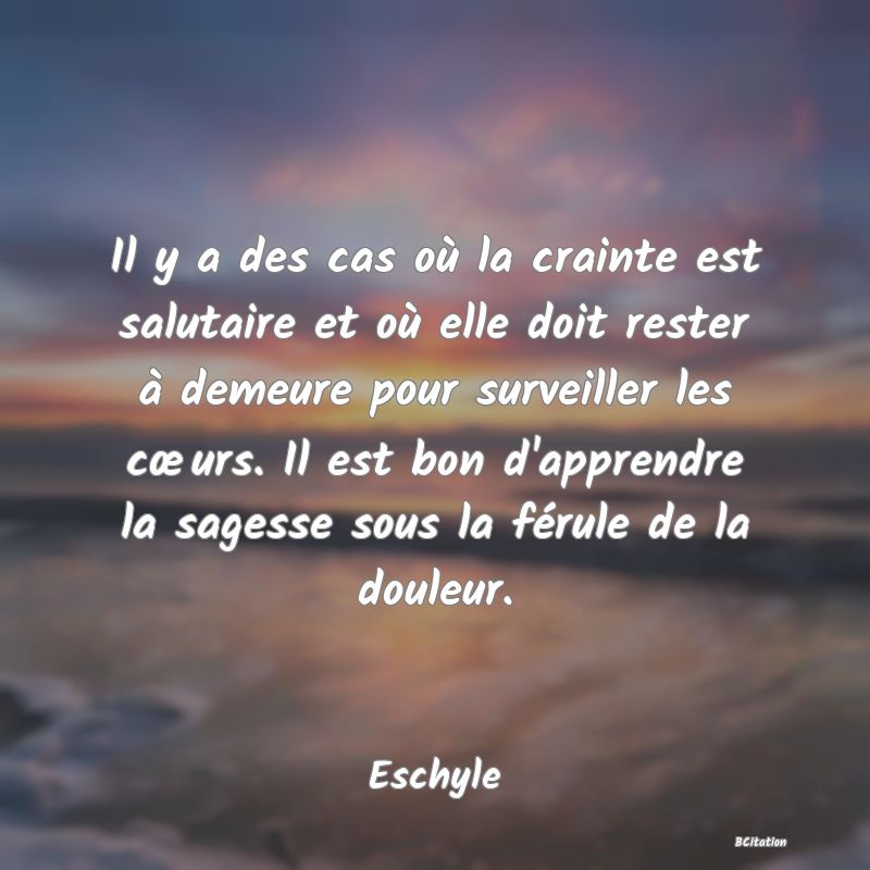 image de citation: Il y a des cas où la crainte est salutaire et où elle doit rester à demeure pour surveiller les cœurs. Il est bon d'apprendre la sagesse sous la férule de la douleur.