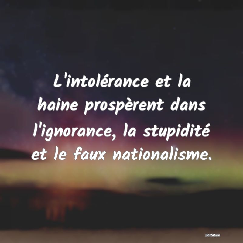 image de citation: L'intolérance et la haine prospèrent dans l'ignorance, la stupidité et le faux nationalisme.