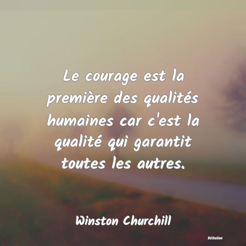 image de citation: Le courage est la première des qualités humaines car c'est la qualité qui garantit toutes les autres.