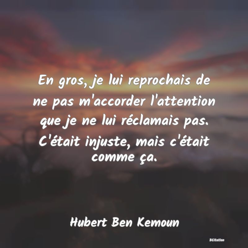 image de citation: En gros, je lui reprochais de ne pas m'accorder l'attention que je ne lui réclamais pas. C'était injuste, mais c'était comme ça.