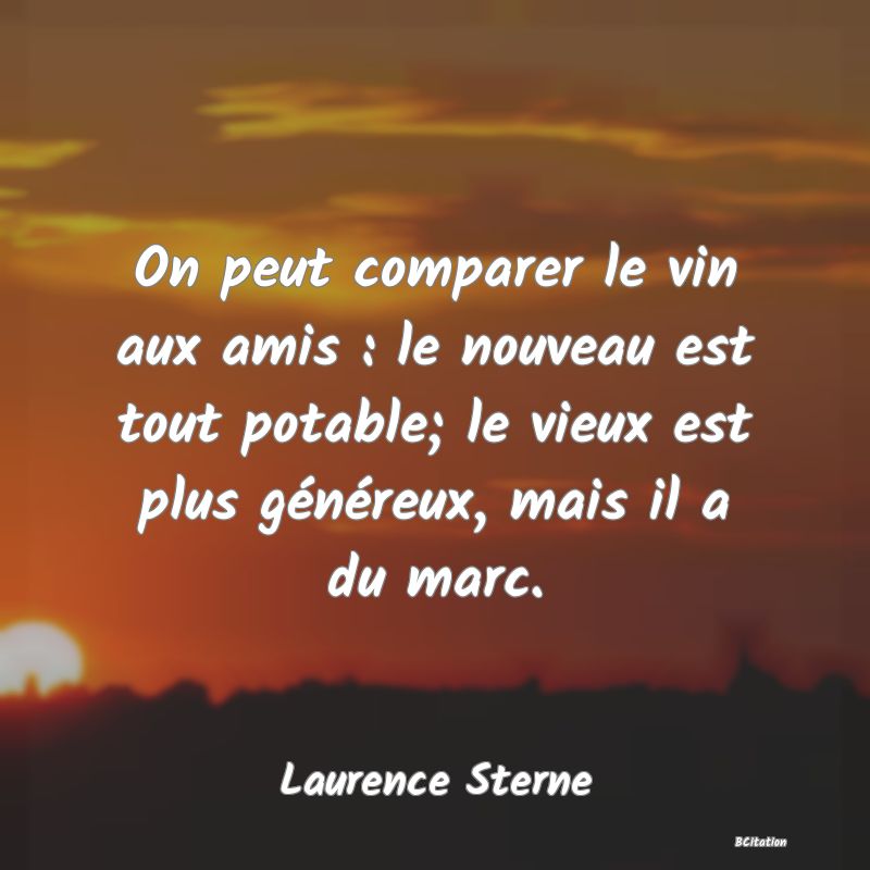 image de citation: On peut comparer le vin aux amis : le nouveau est tout potable; le vieux est plus généreux, mais il a du marc.